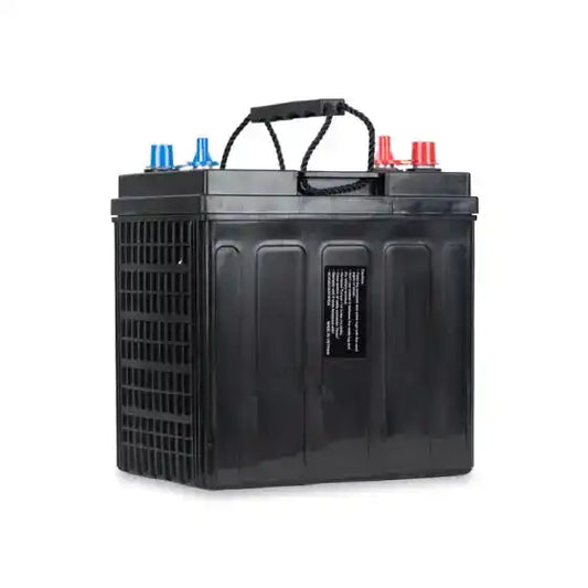 Vision EVGC-220A-AM | EV Series, battery terminals with red and blue cables